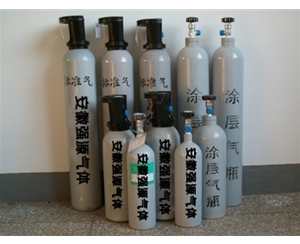 六安机动车尾气...